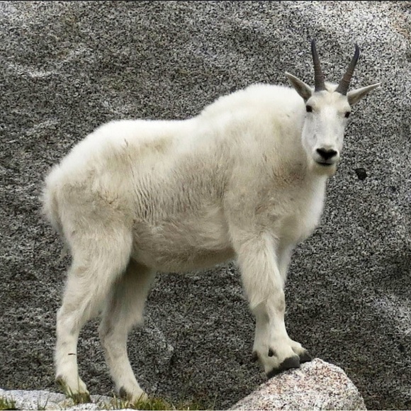 jacklocny